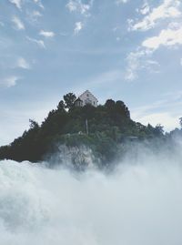 Low angle view of trees against cloudy sky