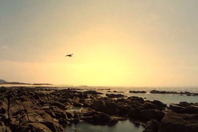 Scenic view of sea at sunset