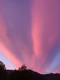 Low angle view of silhouette trees against dramatic sky