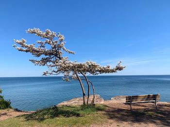 Scenic view of sea against blue sky