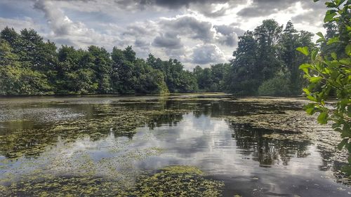 Scenic view of lake in forest against sky