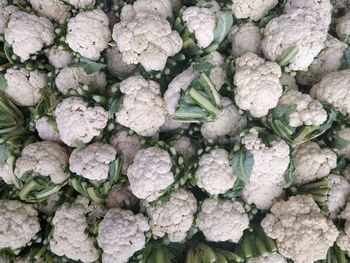 Full frame shot of cabbage  vegetables