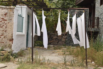 Clothes drying on clothesline