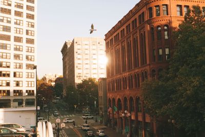 Buildings in city