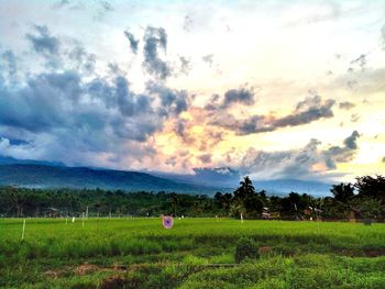 Scenic view of landscape against sky