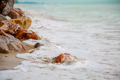 Close-up of a sand on beach