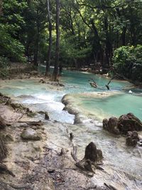 Scenic view of waterfall in forest