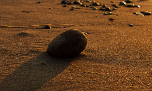 High angle view of ball on sand