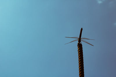 Low angle view of a dragonfly on a rusty iron