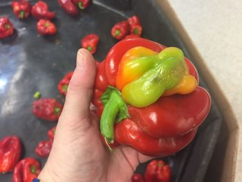 Close-up of cropped hand holding food