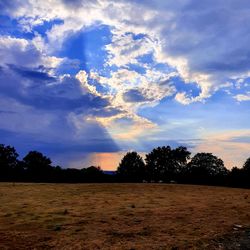 Silhouette trees on field against sky at sunset