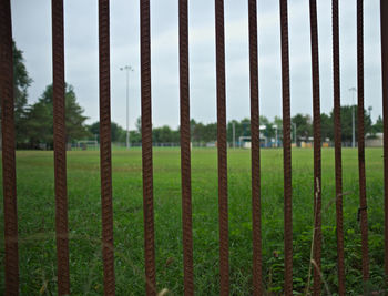 Panoramic shot of trees on field