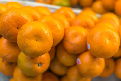 Close-up of oranges