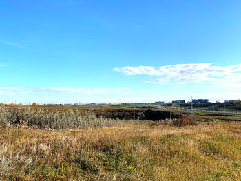 Scenic view of field against blue sky