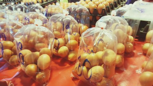 Close-up of fish swimming in sea