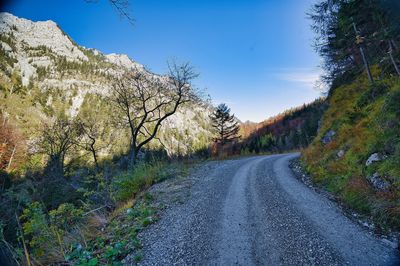 Road amidst trees against sky