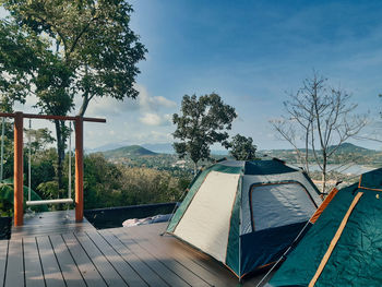 Trees and plants against sky