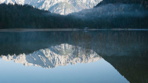 Reflection of tree on lake against snowcapped mountains