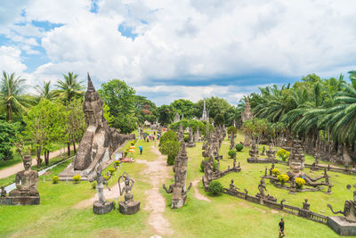 Panoramic shot of palm trees on landscape against sky