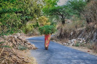 Road amidst trees