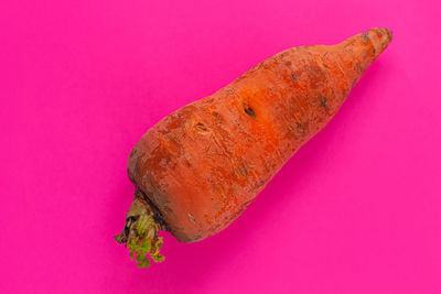 High angle view of bread on pink background