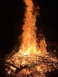 Firework display at night