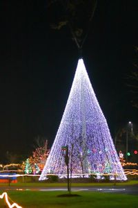 Illuminated ferris wheel against sky at night