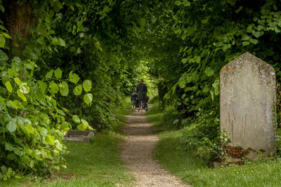 Rear view of person walking on footpath amidst trees