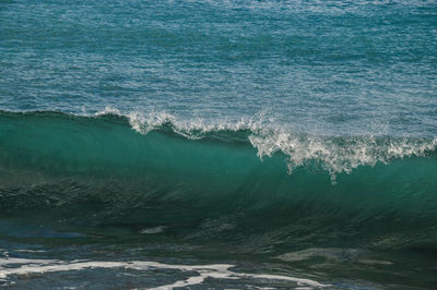 Aerial view of a beach
