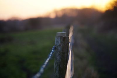 Close-up of wooden post on land