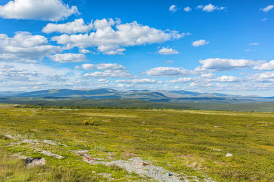 Beautiful tundra landscape view with mountains in the horizon at summer