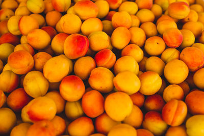 Full frame shot of fresh apricots