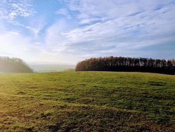 Scenic view of field against sky