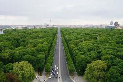 Road passing through trees