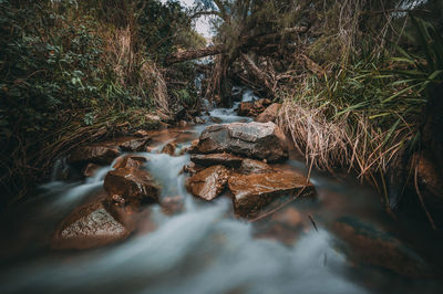 River flowing through rocks in forest