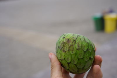 Close-up of hand holding fruit