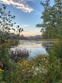 Scenic view of lake against sky