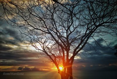 Silhouette bare tree against dramatic sky during sunset