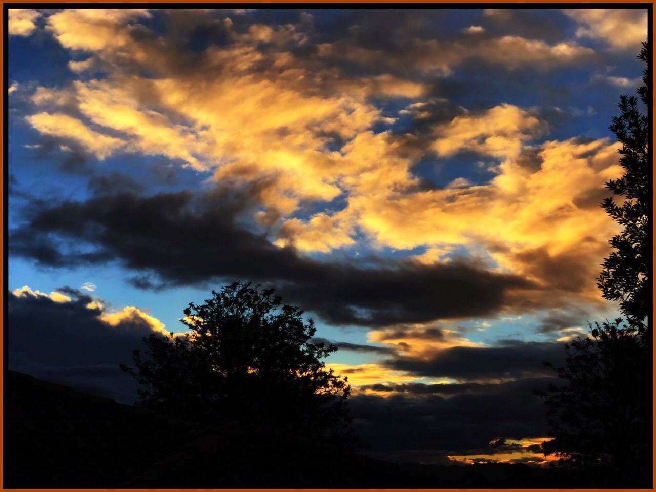 sky, cloud - sky, beauty in nature, sunset, tree, tranquility, tranquil scene, scenics - nature, plant, silhouette, nature, orange color, no people, low angle view, transfer print, dramatic sky, auto post production filter, idyllic, outdoors, ominous