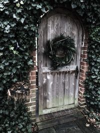 Closed door of old building