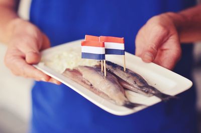 Midsection of person holding dead fishes with dutch flags