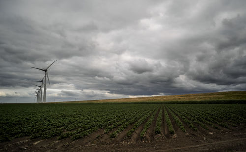 Scenic view of agricultural field against cloudy sky