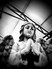 Close-up portrait of an animal