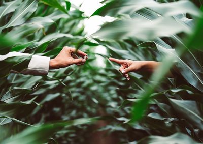 Cropped image of man giving ring to woman amidst plants
