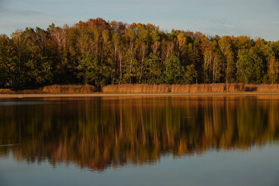 Scenic view of lake in forest against sky