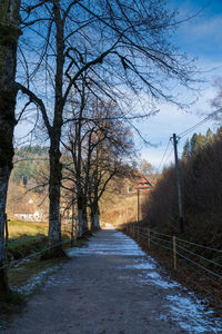 Road amidst bare trees and buildings against sky