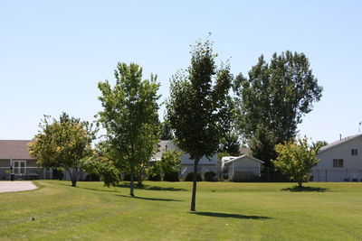 View of lawn with buildings in background