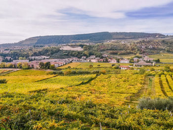 Scenic view of agricultural field by buildings against sky