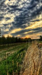Scenic view of agricultural field against sky during sunset