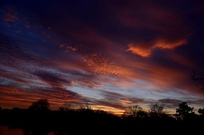 Silhouette of trees against cloudy sky